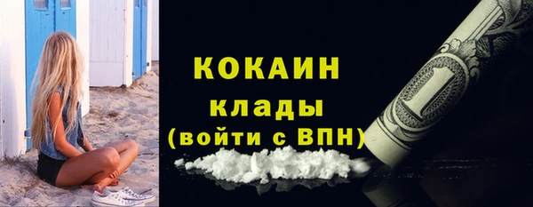 дживик Богородск