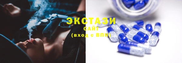 дживик Богородск