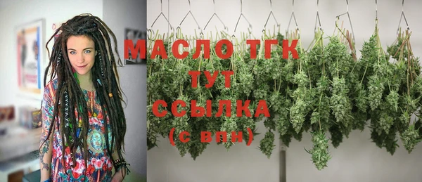 дживик Богородск