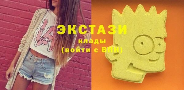 дживик Богородск