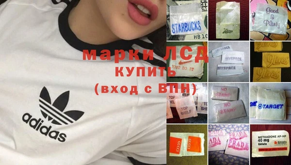 мяу мяу мука Белокуриха