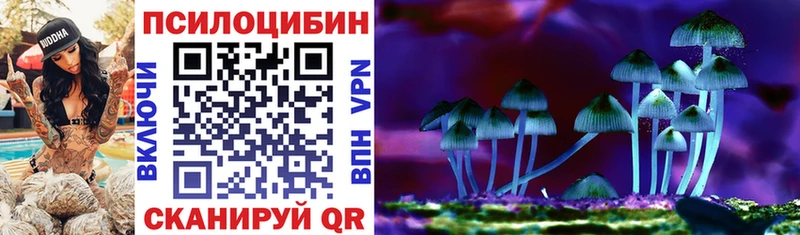 где можно купить   маркетплейс какой сайт  Псилоцибиновые грибы Psilocybe  Севск 
